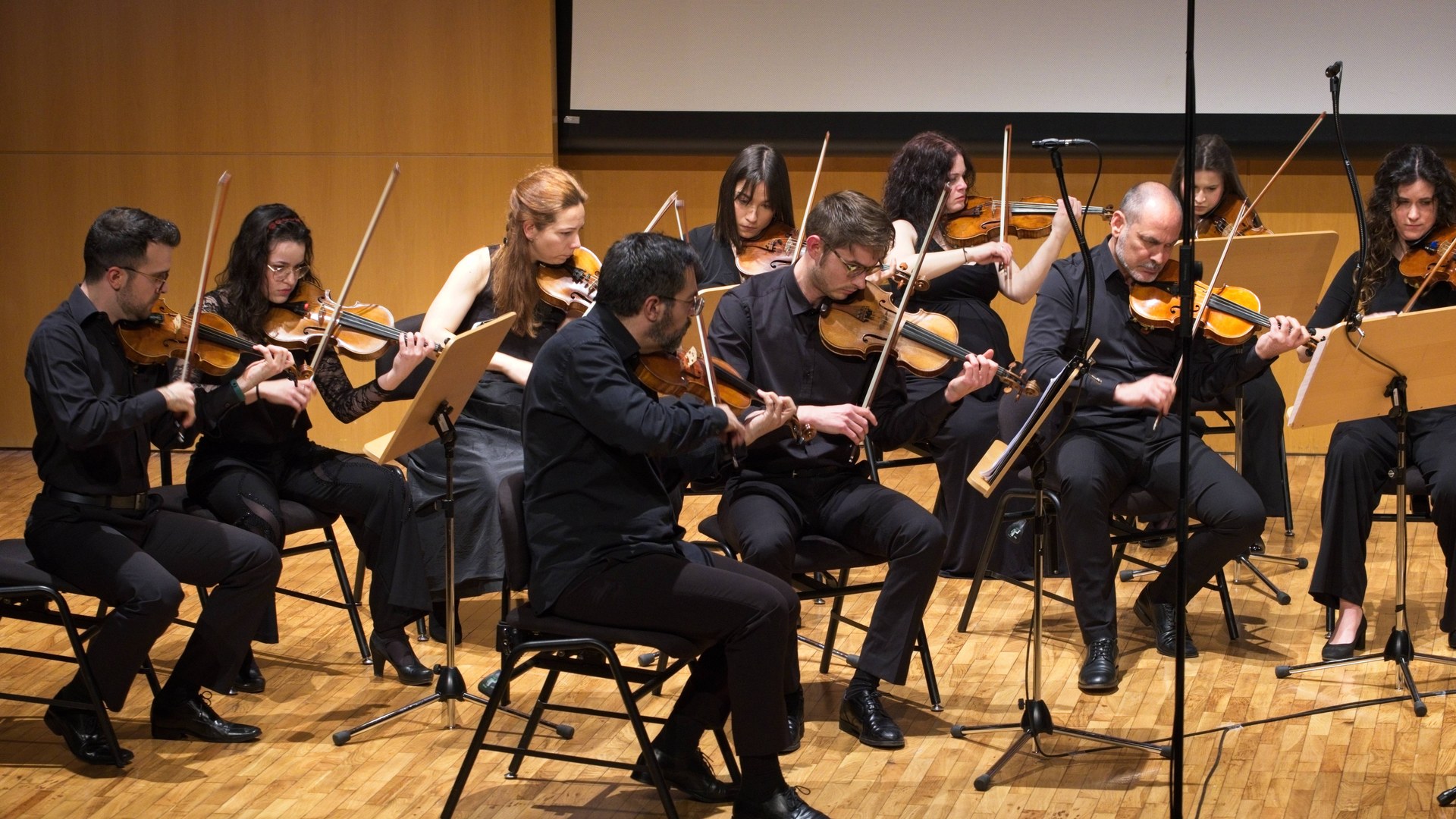 Myrtus Festival Orchestra interpretando en concierto